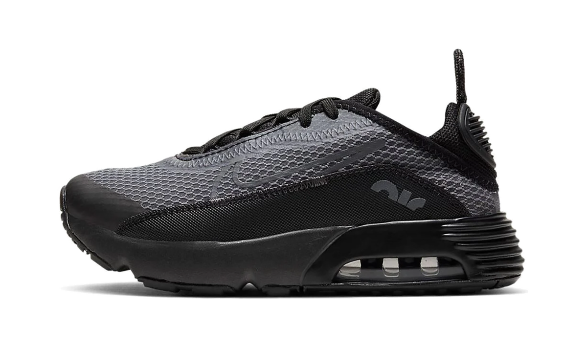 Air Max 2090 PS "Black Wolf Grey" CU2093 001