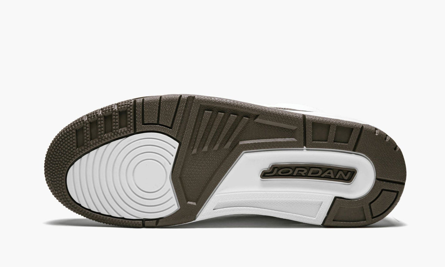 Air Jordan 3 Retro Mocha Sneakers - OG Colorway | Colorway of the Year