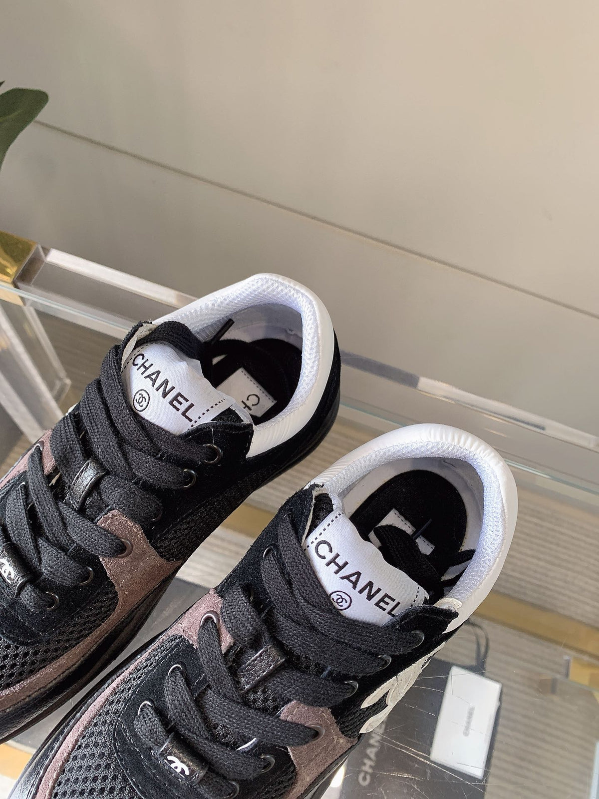 CC Sneaker In Black Mesh Fabric 145611