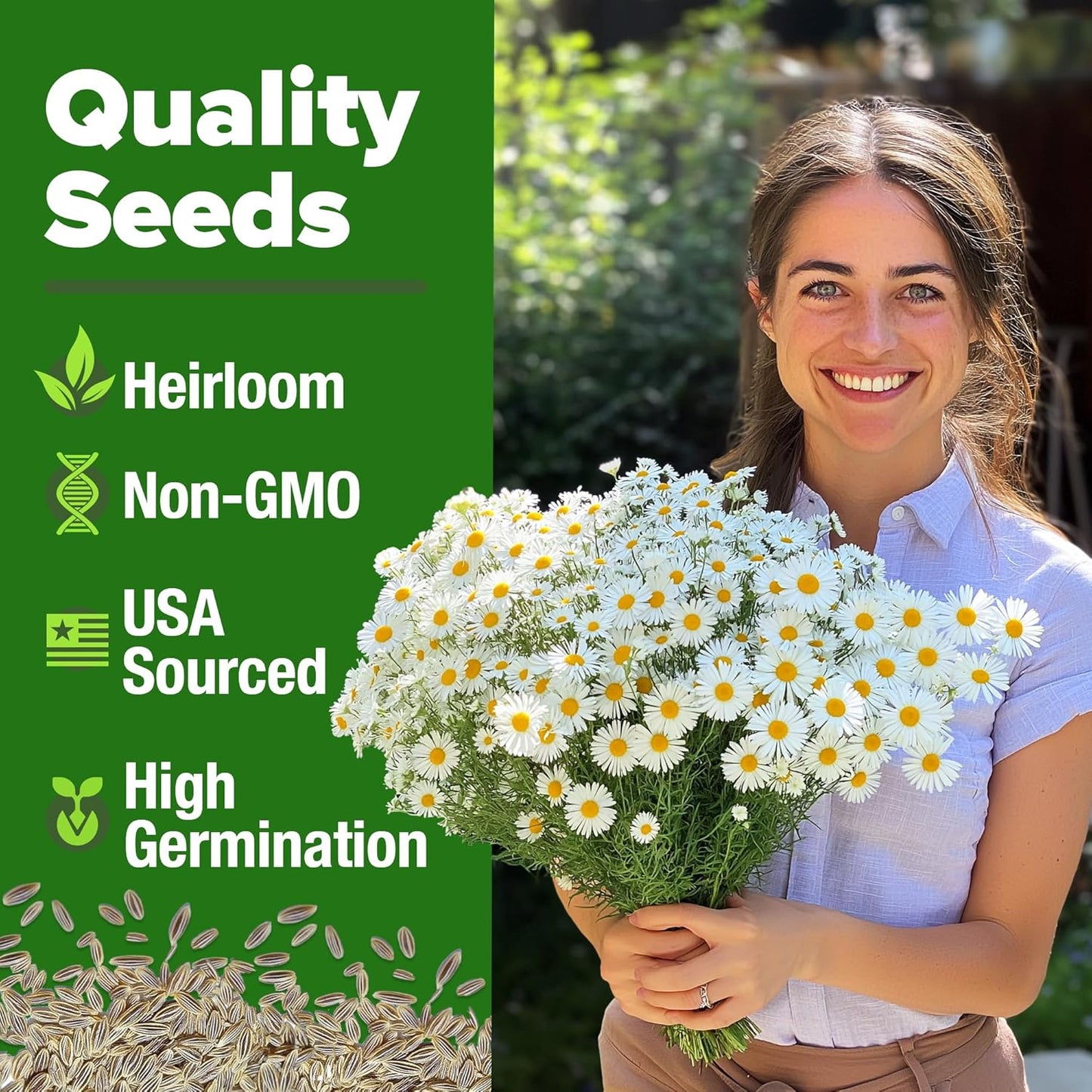 HOME GROWN German Chamomile Seed Pack 2,280 Non GMO Heirloom Seeds for Planting for Sustainable Gardens and Soothing Medicinal Herbal Teas (Matricaria chamomilla)