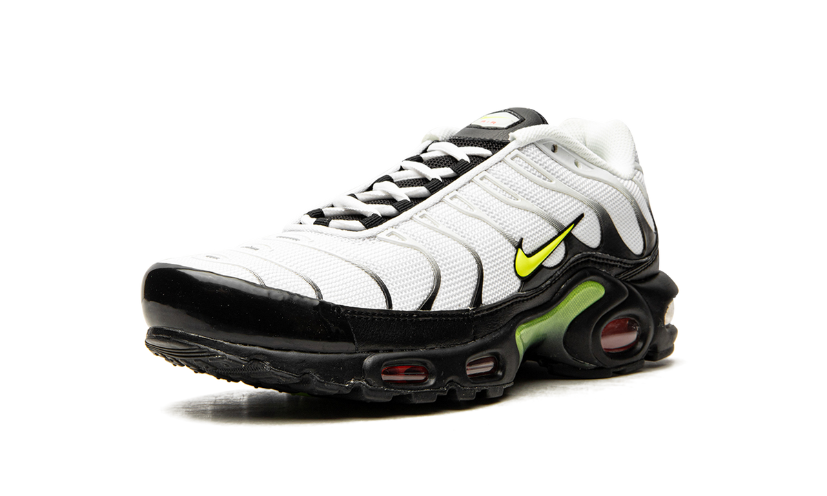 Air Max Plus "Retro Future" AJ2013 100