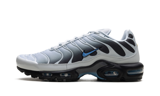 Air Max Plus "Grey University Blue Black" DM0032 015