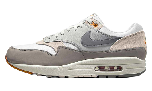 Air Max 1 "Light Iron Ore Flat Pewter" IB1492 121