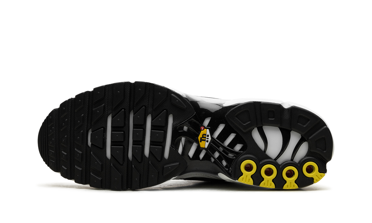 Air Max Plus "Black / White" CT1094 102