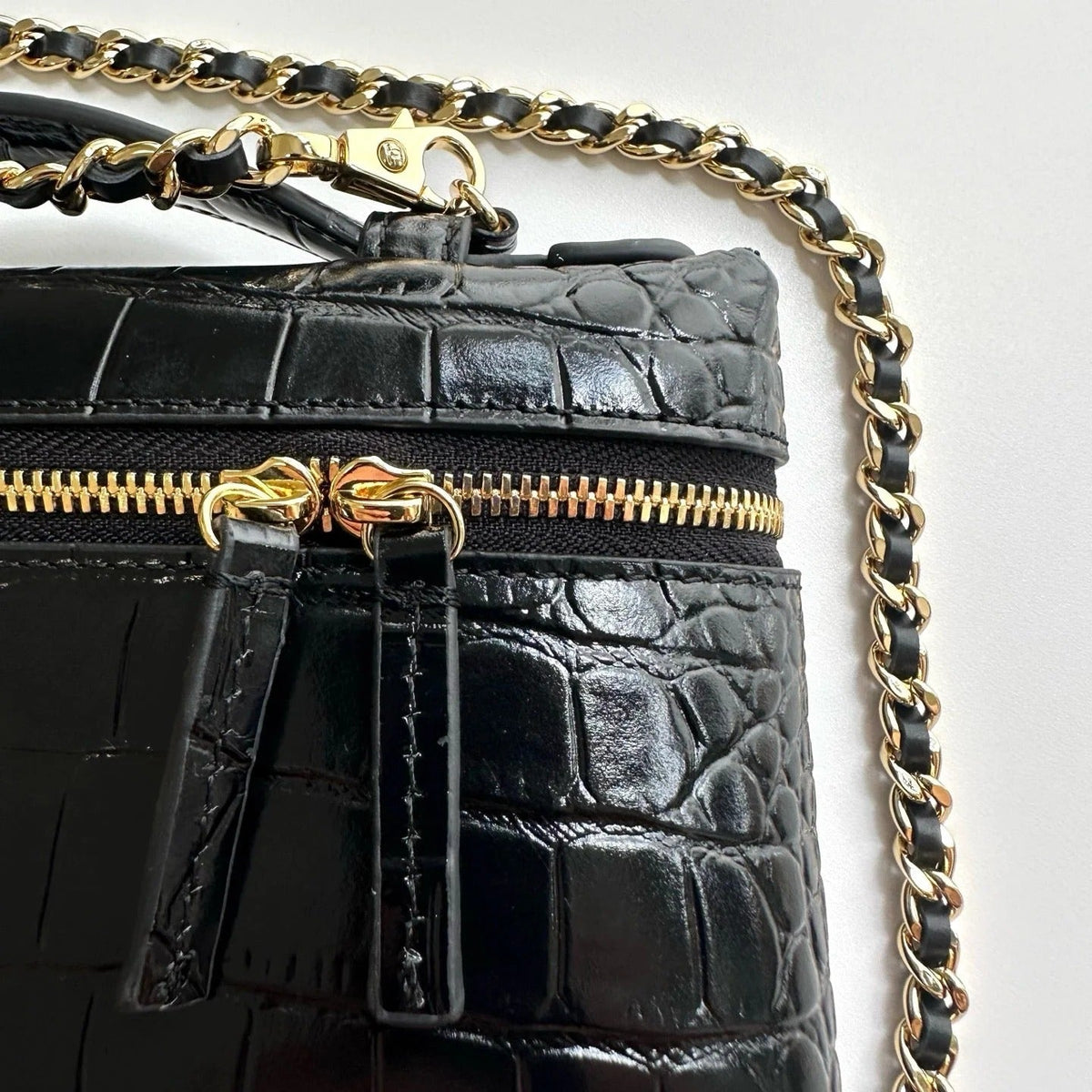 Chanel 2026 Crocodile Embossed Vanity Bag 19.5cm Leather
