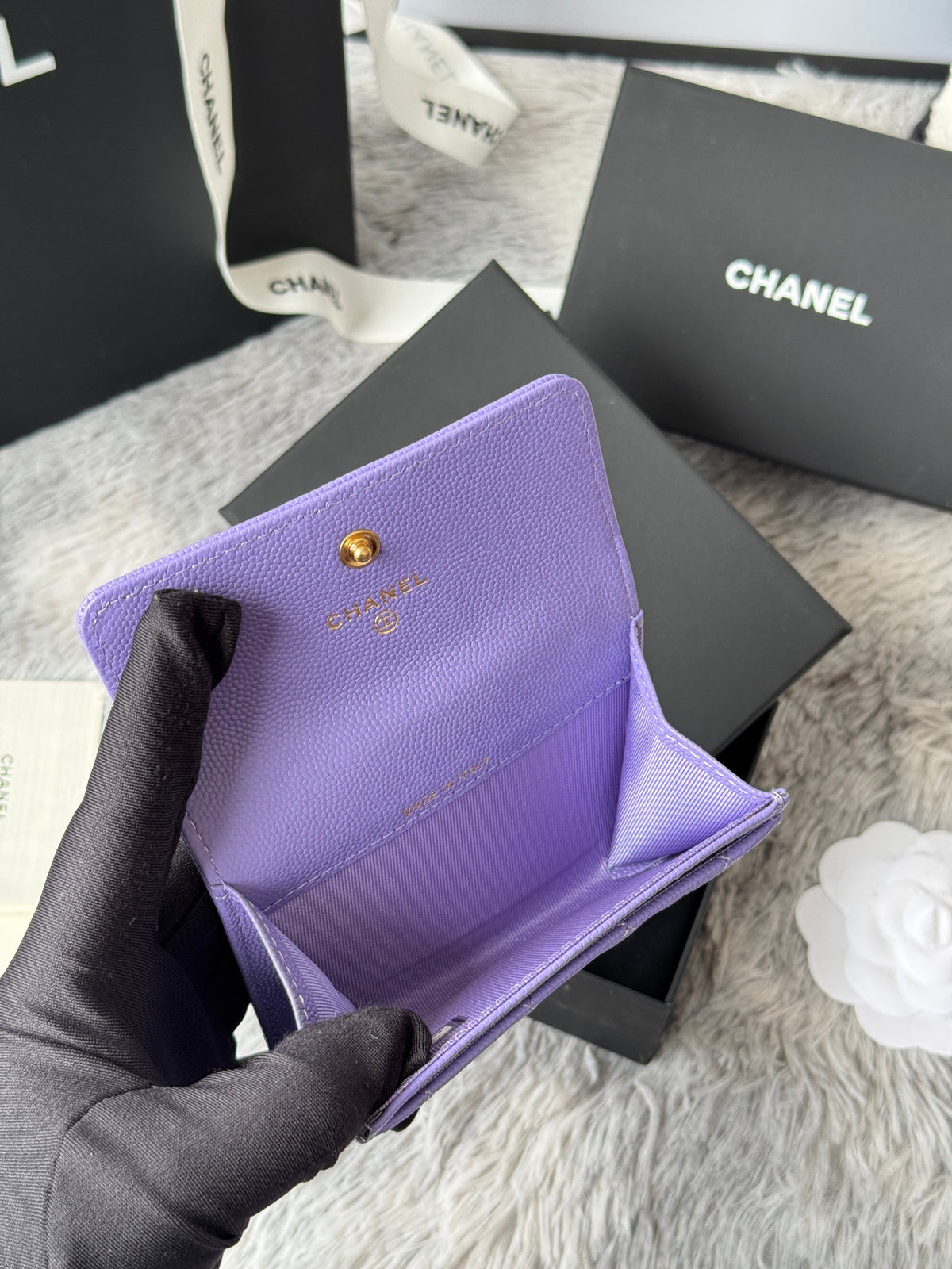 CC Boy Flap Card Holder Purple Gold-tone Grained Calfskin 242860