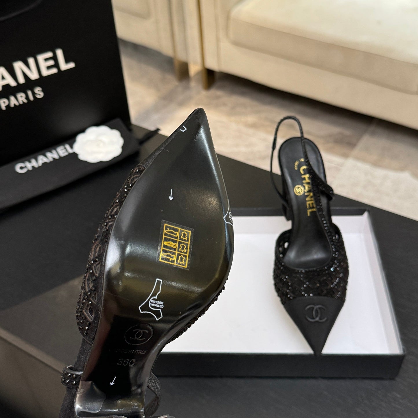 CC 26s Rhinestone Pointed-Toe Shoe Black Suede Canvas 907703