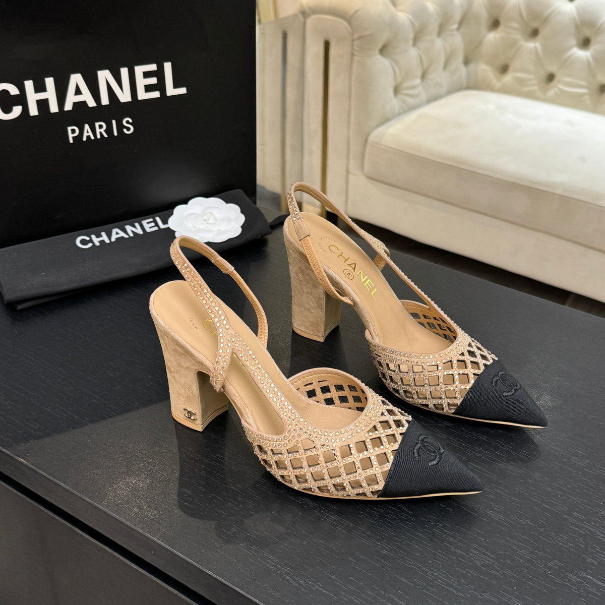 CC 26s Rhinestone Pointed-Toe Shoe Beige Black Suede Canvas 907704