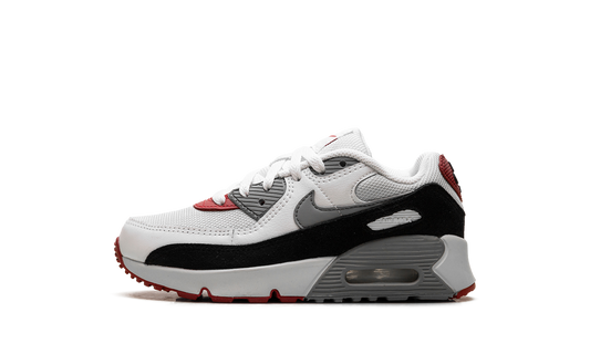 Air Max 90 PS "Photon Dust Grey" CD6867 019