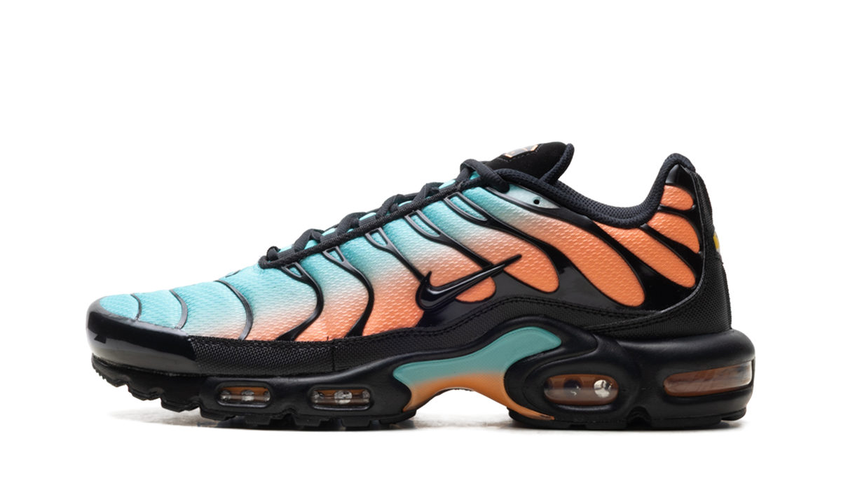 Air Max Plus "South Beach" DM0032 022