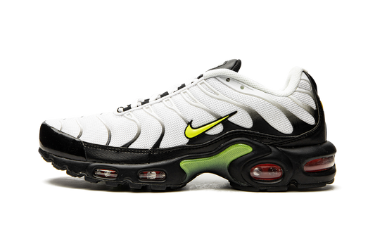 Air Max Plus "Retro Future" AJ2013 100