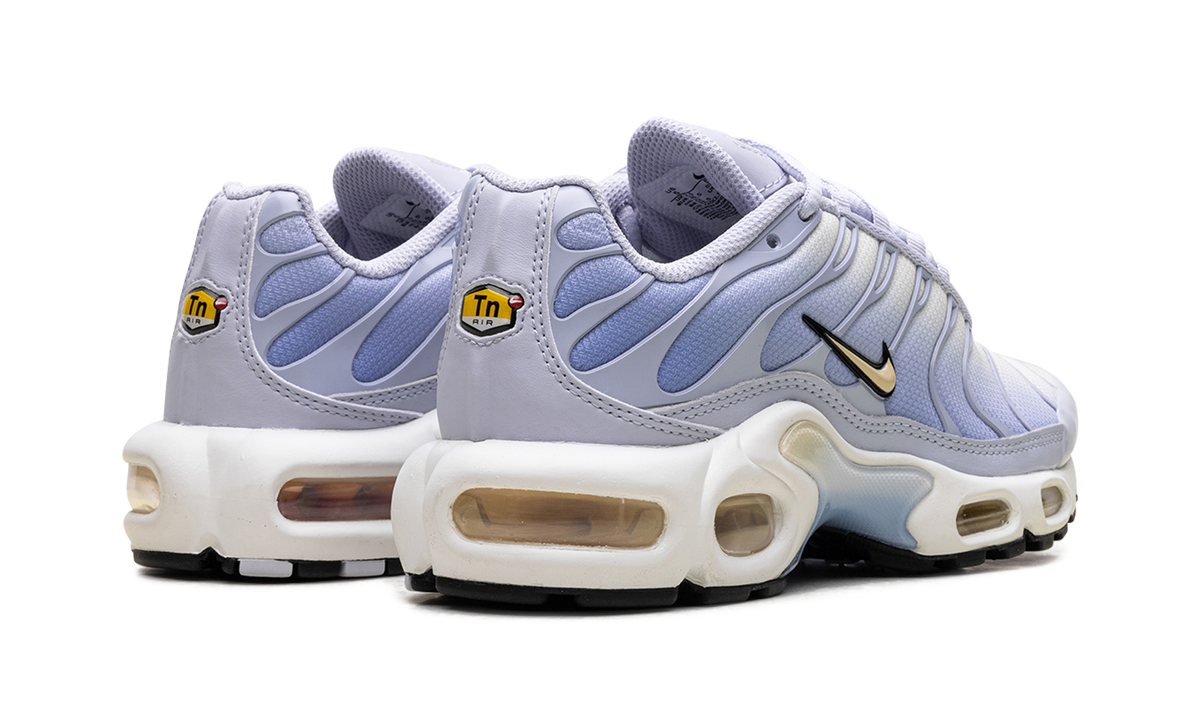 Air Max Plus WMNS "Daybreak" DZ3670 004